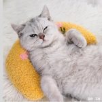 Cat Pillow Sleep U-shaped Pillow Containing Catnip Sleep Aid Cervical - cat toy product photo