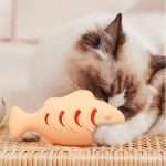 Cat Supplies Silicone Mint Toy - cat toy product photo