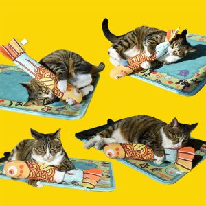 Cat grass pet cat toy - cat toy product photo