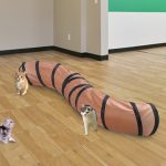 Cat Bending S-shaped Collapsible Tunnel Toys - cat toy product photo