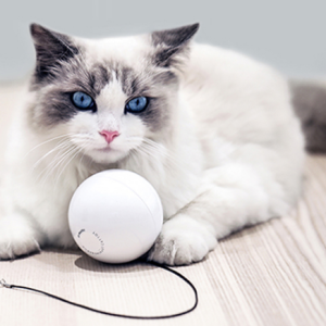 Smart Automatic Interactive Cat Toy Ball - cat toy product photo
