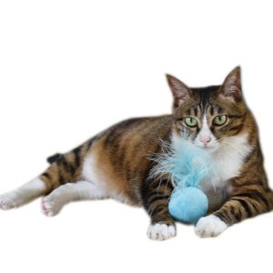 Vocal catnip cat claw toy ball - cat toy product photo