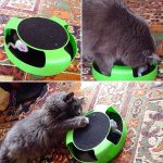 Mouse Cat Toy Top Cat Scratch Board Mouse Kitten Toy - cat toy product photo