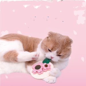 Sakura Fruit Cat Mutian Polygonum Teething Stick Catnip Kitten Toy - cat toy product photo