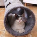 Long Cats Tunnel Toys - cat toy product photo
