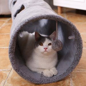 Long Cats Tunnel Toys - cat toy product photo