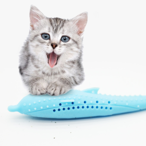 Cat Toothbrush Toy - cat toy product photo