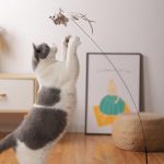 Steel Wire Feather Cat Teaser Stick - cat toy product photo
