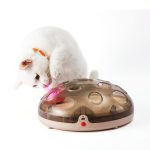 Electric cat toy carousel - cat toy product photo