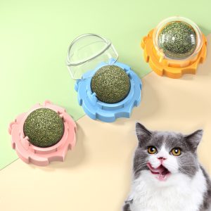 Lion Catnip Molar Pet Toy Can Be Pasted Cat Toy - cat toy product photo