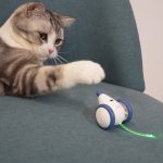 Cat Electric Mouse Cat Toy Boredom Artifact Automatic Intelligent - cat toy product photo