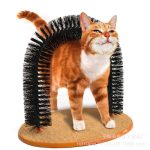 Cat Toy Scratching Massage Brush Comber Hair Cleaning - cat toy product photo