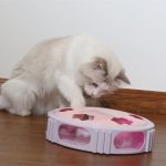 Feather flashing puzzle cat toy - cat toy product photo