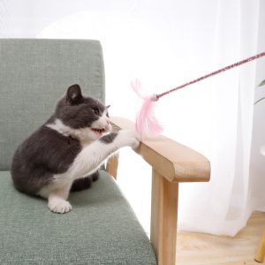 Toy Cat Wand Set Feather Bell - cat toy product photo