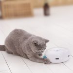 Electric cat toy smart funny cat stick donut automatic turntable - cat toy product photo
