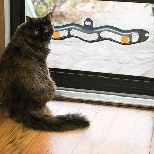 Windowsill Pets Toy Cat Track Ball - cat toy product photo
