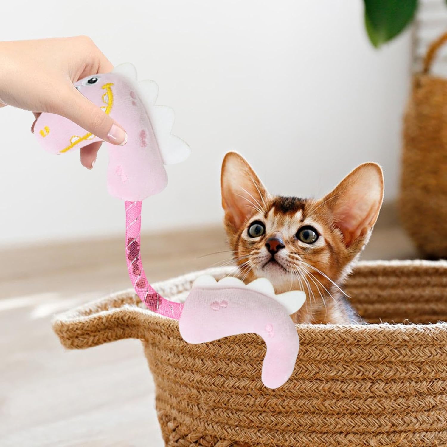 Cat Toys Cat Chew Toy For Teeth Cleaning Catnip Rope Toys For Cats Springs Cat Toy Interactive Cat Kicker Toys For Indoor Cats Cat Toys Cat Chew Toy For Catnip Rope Toys For Cats Springs Cat Toy - cat toy product photo