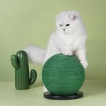 Cat Scratching Ball Board Toy Cactus Shape Scratch Sisal Post - cat toy product photo