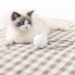 Smart Automatic Interactive Cat Toy Ball (CJJJCWMY01541) - cat toy product photo