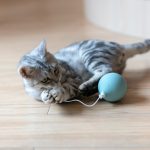 cat electric cat toy - cat toy product photo