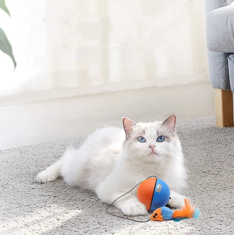 Automatic Tease Cat Toy Ball Intelligent Grinding Teeth Automatic Tease Cat Toy Ball Intelligent Grinding Teeth - cat toy product photo