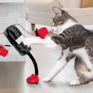 Cat Boxing Game Cat Teaser Toy - cat toy product photo