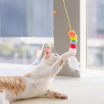 Cat Toys Simulated Cute Toys Funny Self-hey Interactive Toy Rope Grabbing - cat toy product photo
