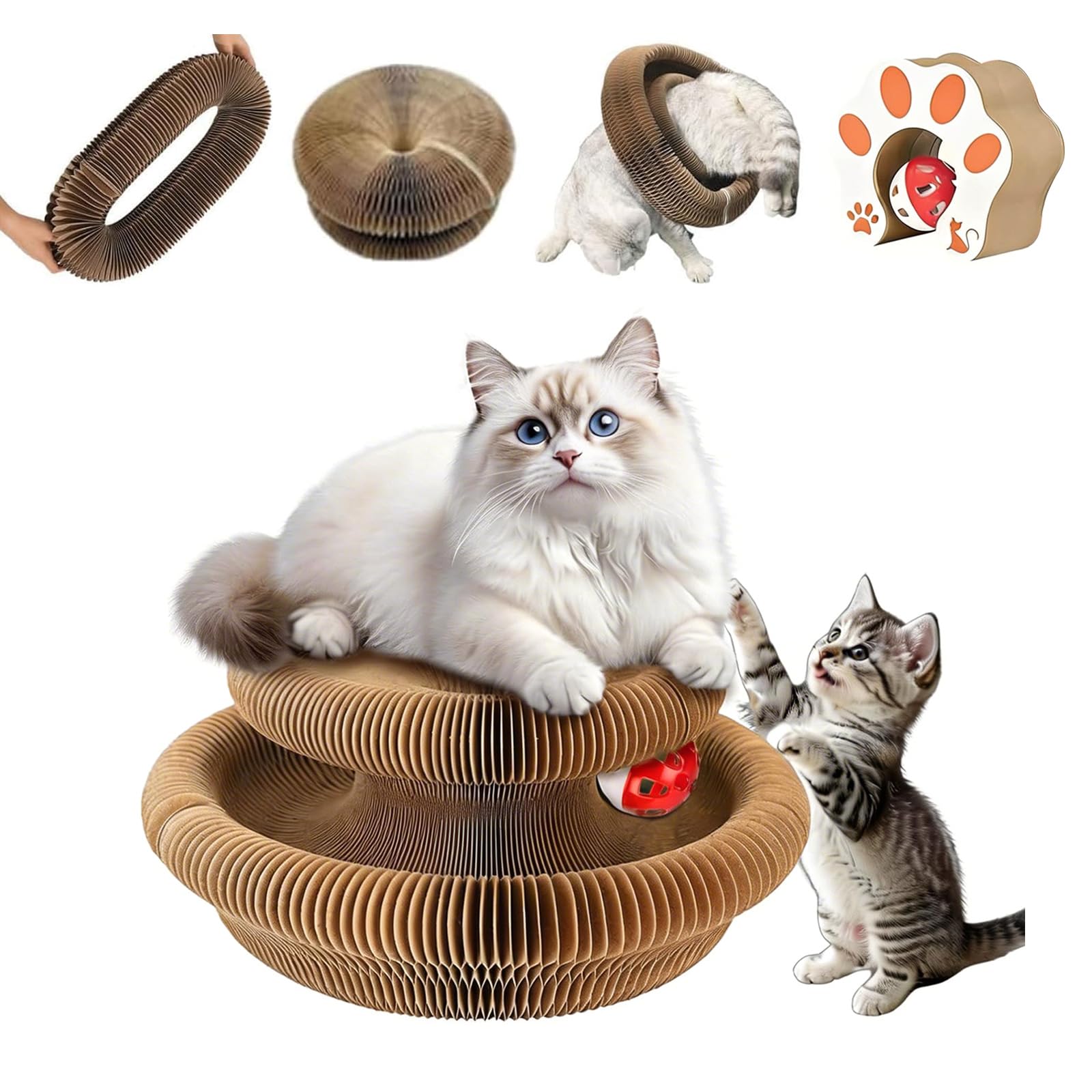 Cat Accordion Cat Toy Kitty Kurlz Cat Toy Ball Scratch Pad Magic Organ Cat Scratching Board Cat Scratcher Cat Accordion Cat Toy Kitty Kurlz Cat Toy Ball Scratch Pad Magic Organ Cat - cat toy product photo