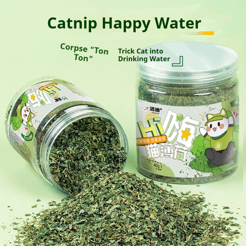Catnip Cat Grass Leaves Cat Treats Cat Teaser Toy Catnip Cat Grass Leaves Cat Treats Cat Teaser Toy - cat toy product photo