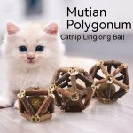 Polygonum Multiflorum Diet Balls Cat Toy Cat Scratching And Biting Catnip - cat toy product photo