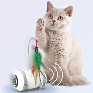 Interactive Cat Toy with Interchangeable Feather Heads - catalog product photo